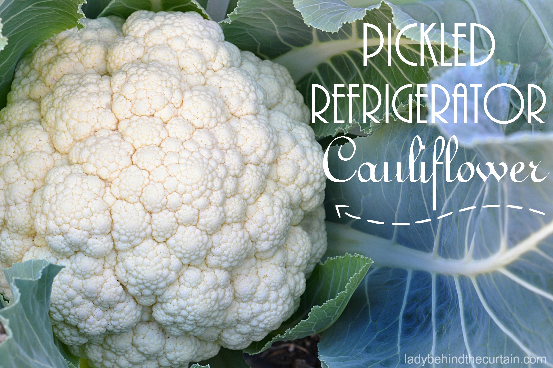 Pickled Refrigerator Cauliflower | rustic party favor, relish dish, salad, game day recipe