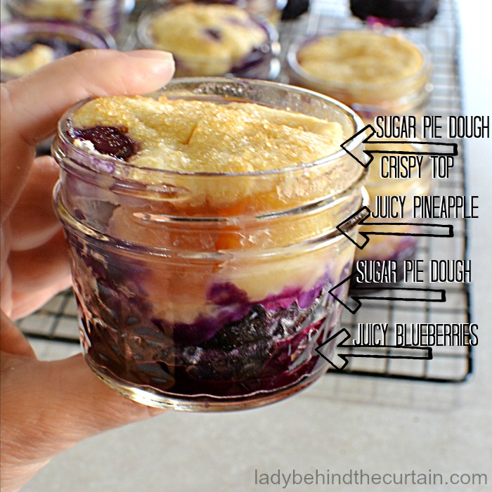 Double Layer Blueberry Pineapple Cobbler