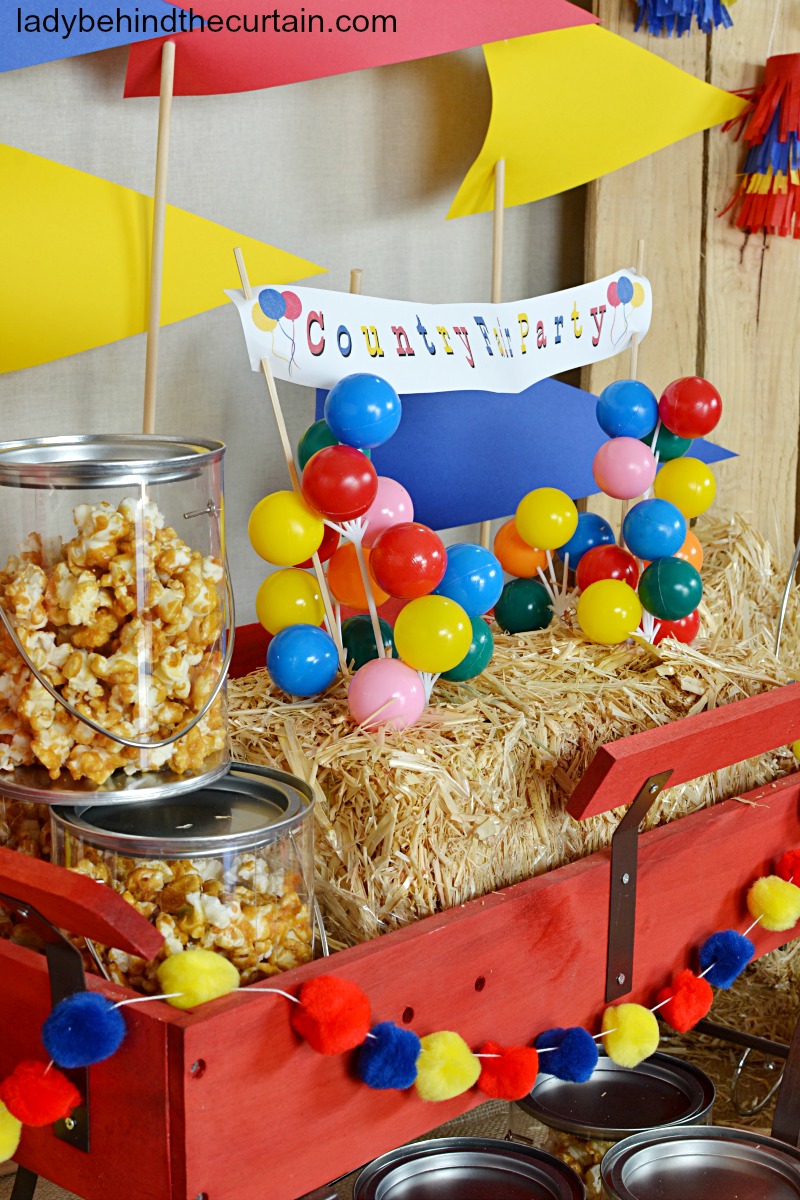 Country Fair Birthday Party