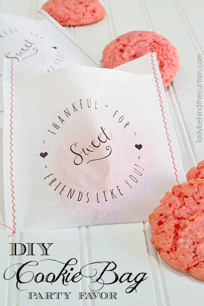 DIY Cookie Bag Party Favor