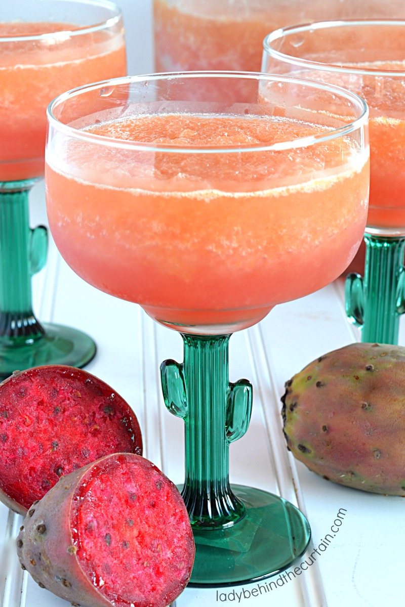 Sparkling Prickly Pear Cactus Slush Punch