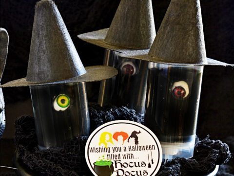 Hocus Pocus Pillow Slime