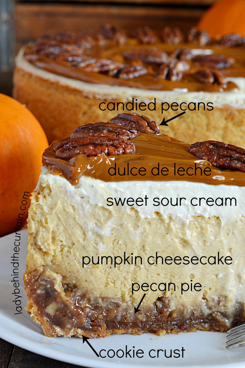 https://www.ladybehindthecurtain.com/wp-content/uploads/2018/11/Pecan-Pie-Pumpkin-Cheesecake-10.jpg