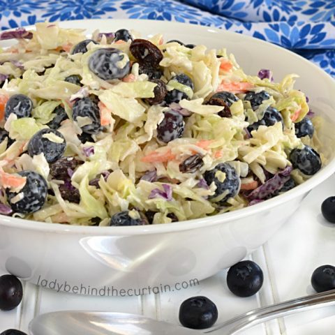 Light Blueberry Coleslaw 