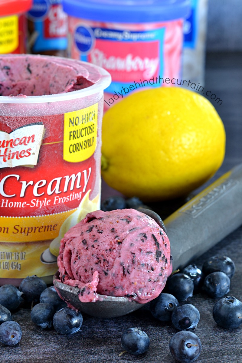 Semi Homemade Blueberry Lemon Ice Cream
