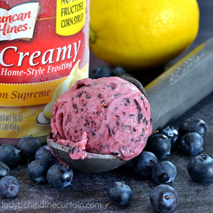 Semi Homemade Blueberry Lemon Ice Cream