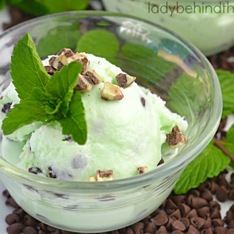 Mint Chocolate Chip Ice Cream