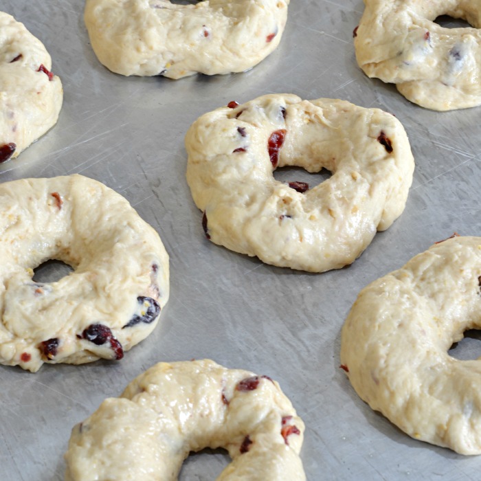 Cranberry Orange Bagels