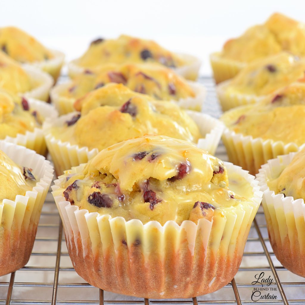 Cranberry Orange Muffins