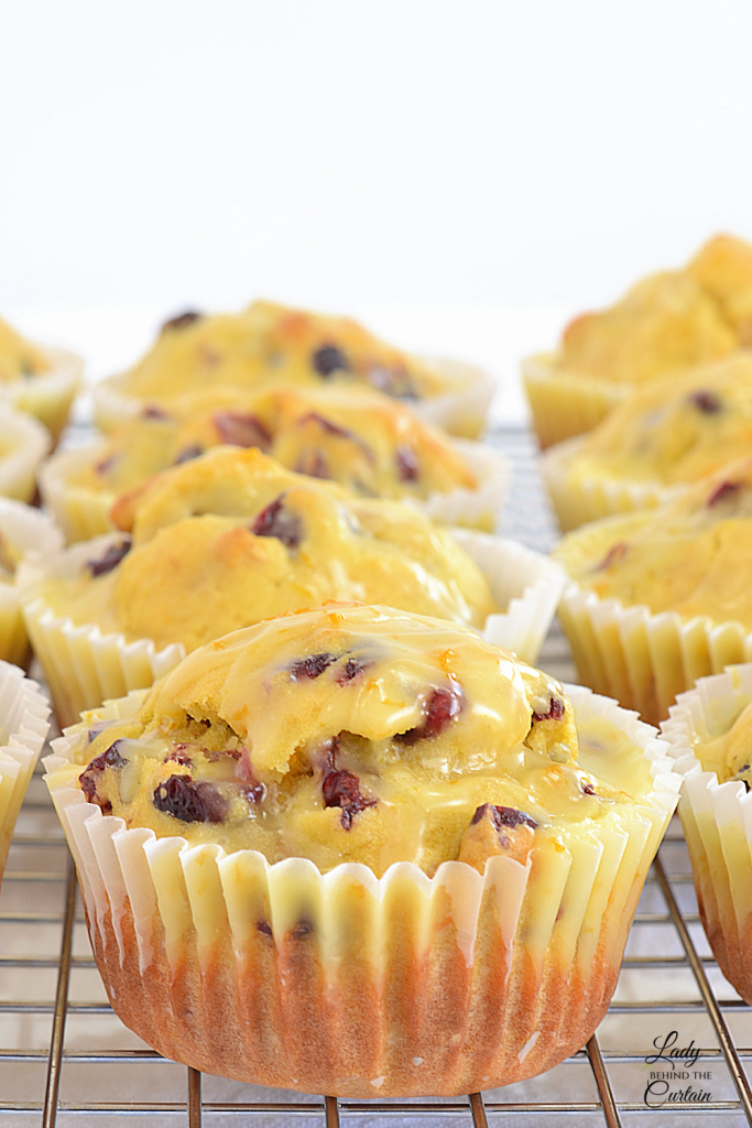 Cranberry Orange Muffins
