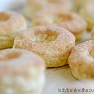 Baked Sugar and Spice Donuts