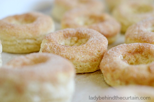 Baked Sugar and Spice Donuts