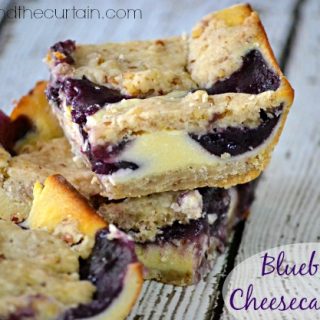 Blueberry Cheesecake Bars