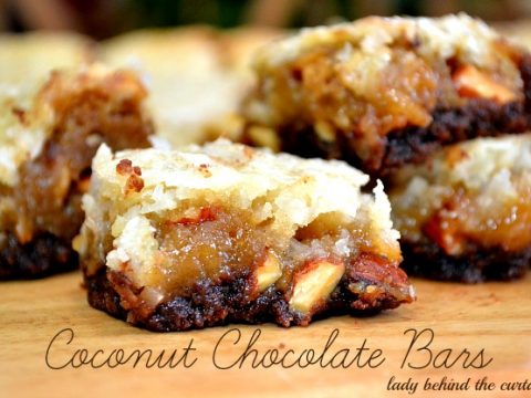 Chocolate Shortbread with Coconut Topping Bars