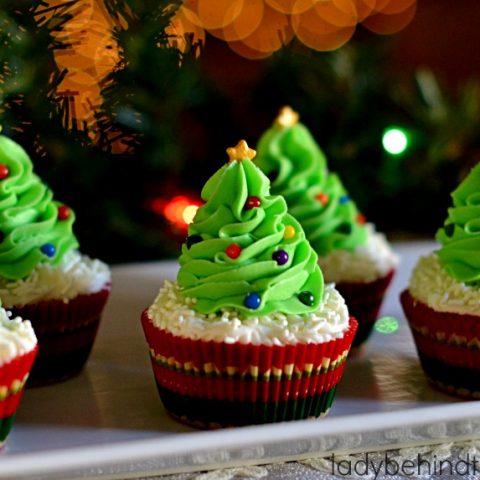 Cranberry Bliss Cupcakes