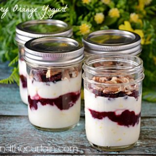 Cranberry Orange Yogurt