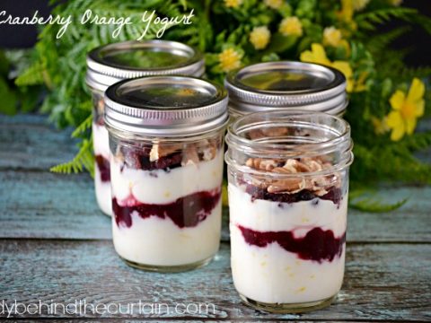 Cranberry Orange Yogurt