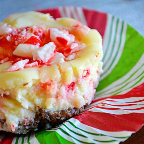 Peppermint Patty Mini Cheesecake