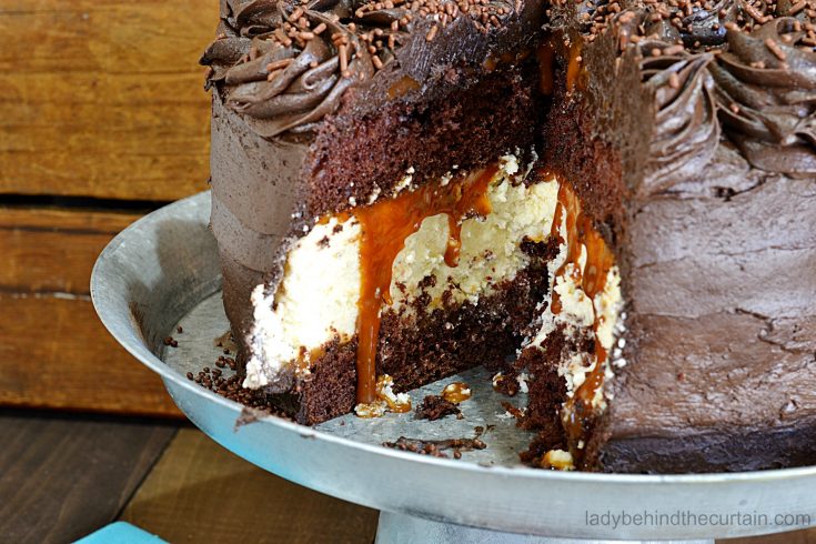 Devil’s Food Cake with a Cheesecake Center