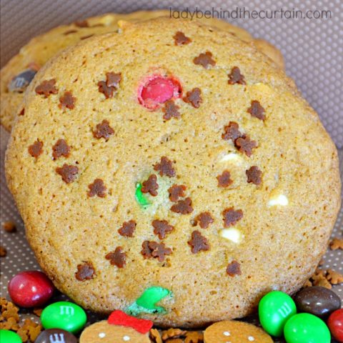 Gingerbread Pudding Cookies