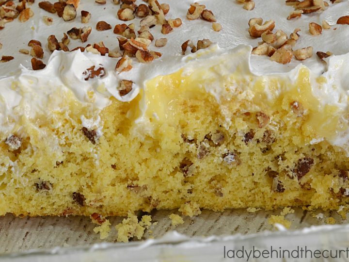 Hummingbird Poke Cake