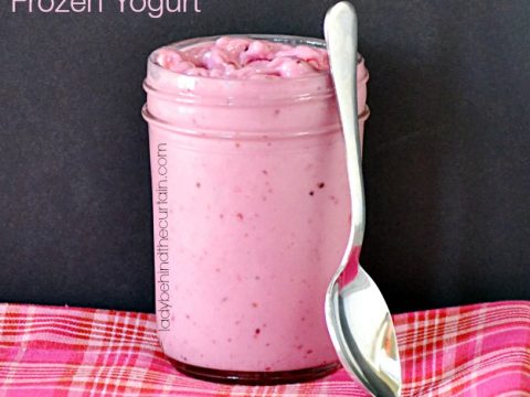 Light Berry Frozen Yogurt