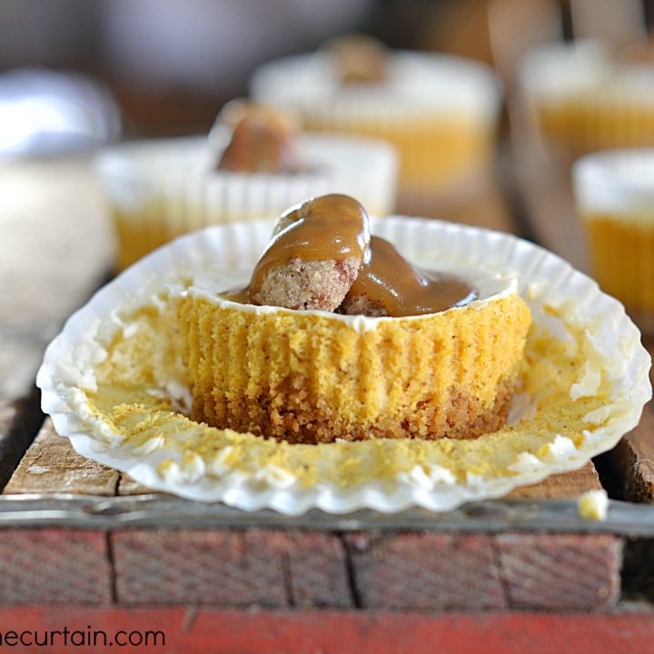 Mini Pumpkin Cheesecakes