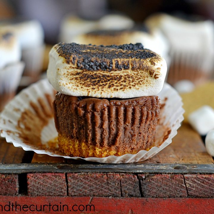 Mini S’more Cheesecakes