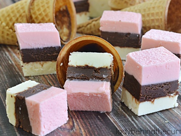 Image for Neapolitan Fudge