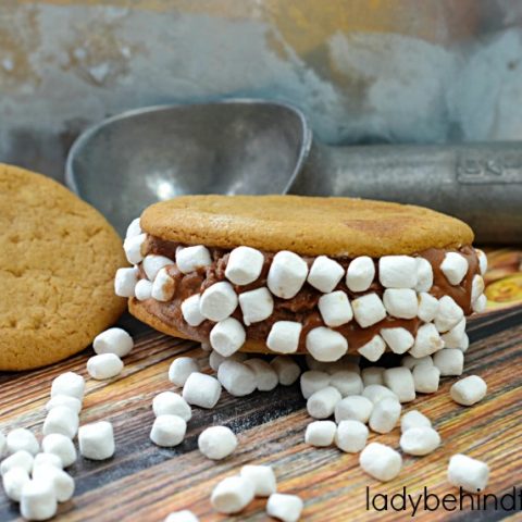 S’mores Ice Cream Sandwich