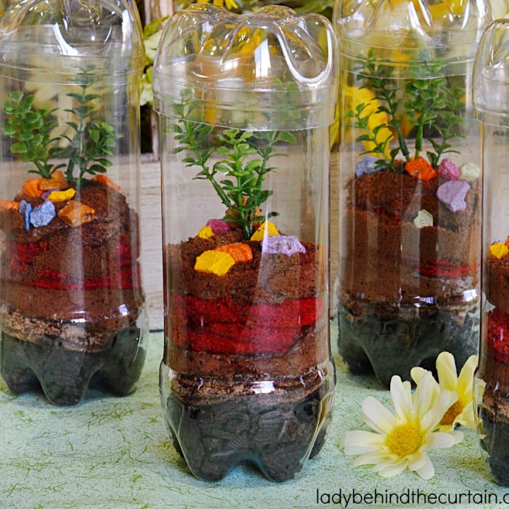 Triple Chocolate Terrarium Dessert