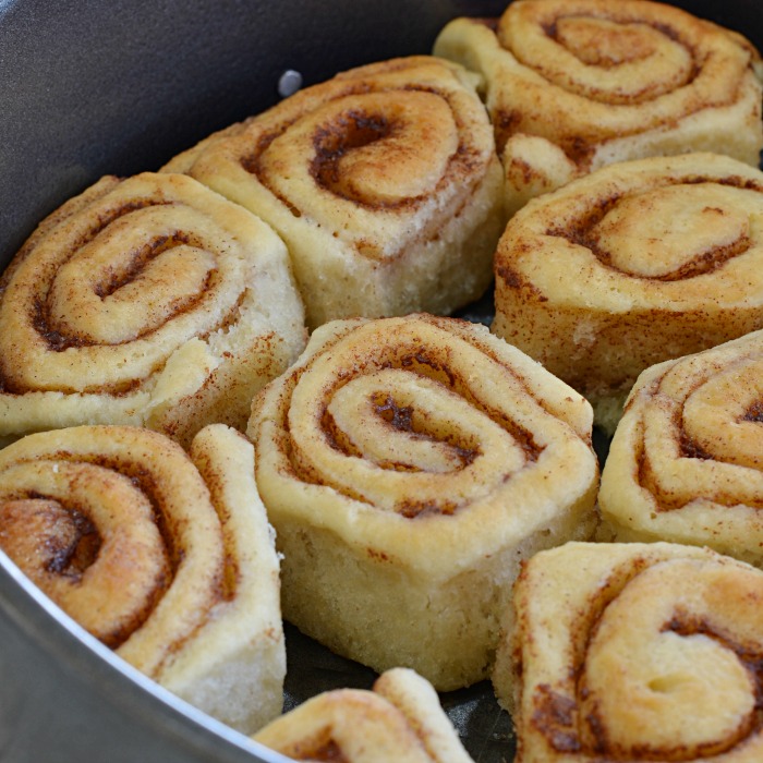 Cinnamon Roll Cheesecake