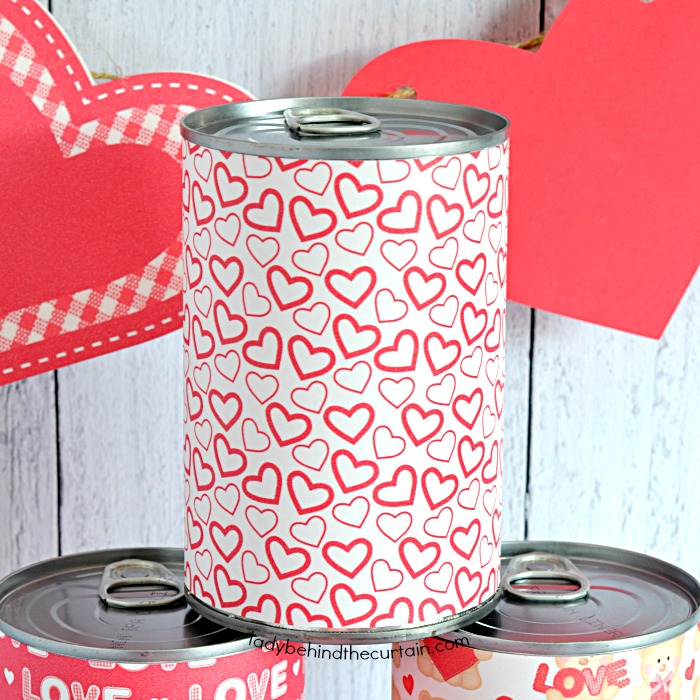 Valentine's Day Party in a Can