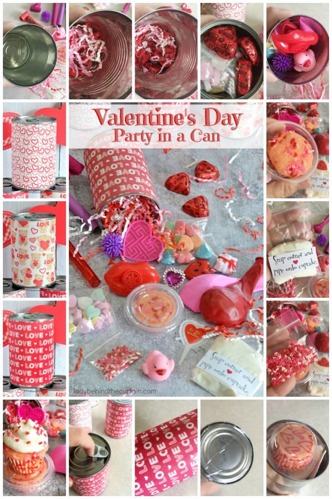 Valentine's Day Party in a Can