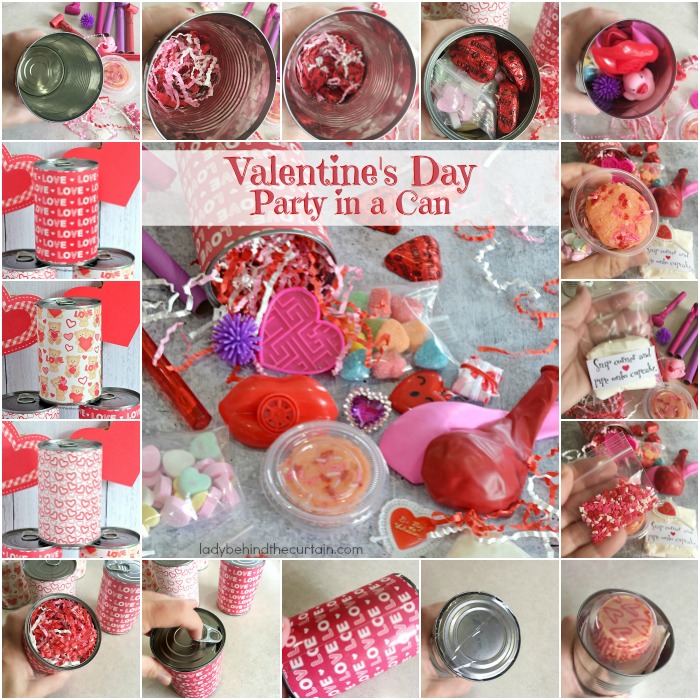 Valentine's Day Party in a Can