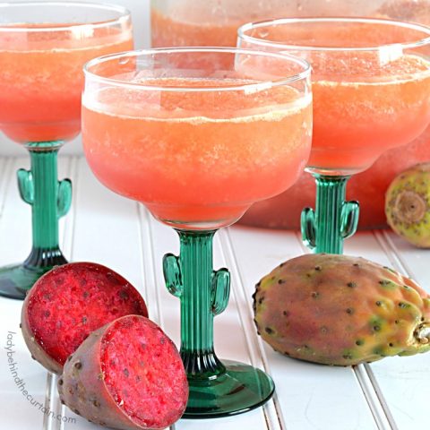 Sparkling Prickly Pear Cactus Slush Punch