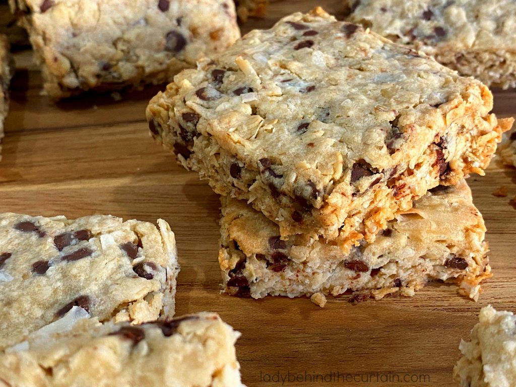 Chocolate Chip Coconut Oaties