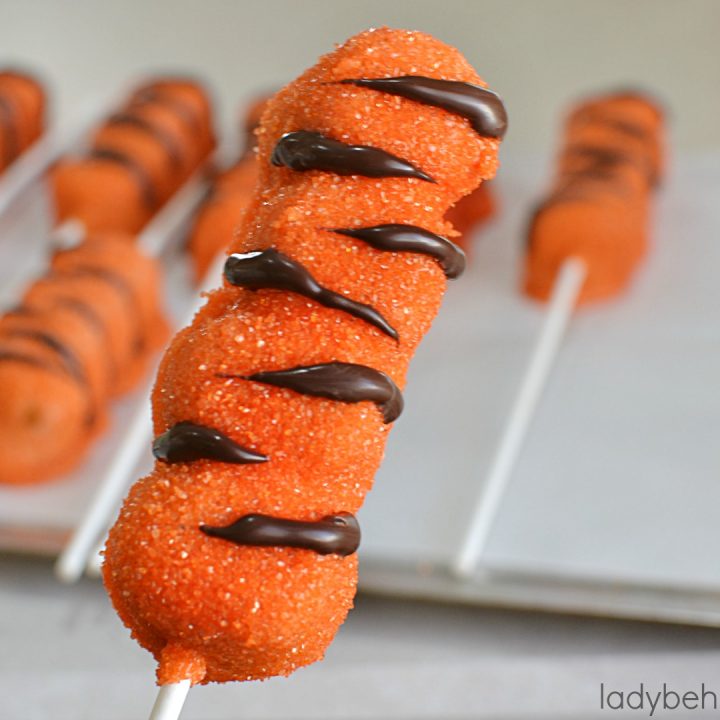 Copycat Disneyland Tigger Tails