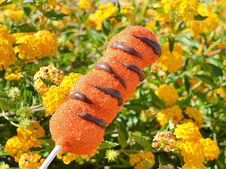 Tigger Tails