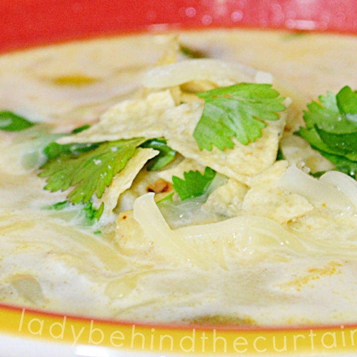 Chicken Verde Soup