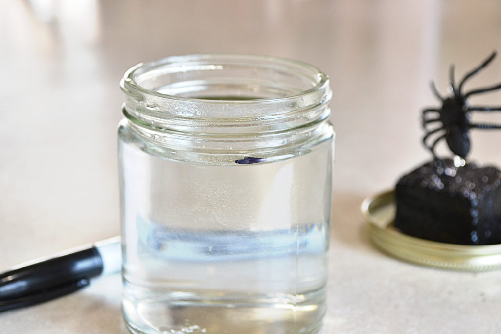 DIY Halloween Party Snow Globes