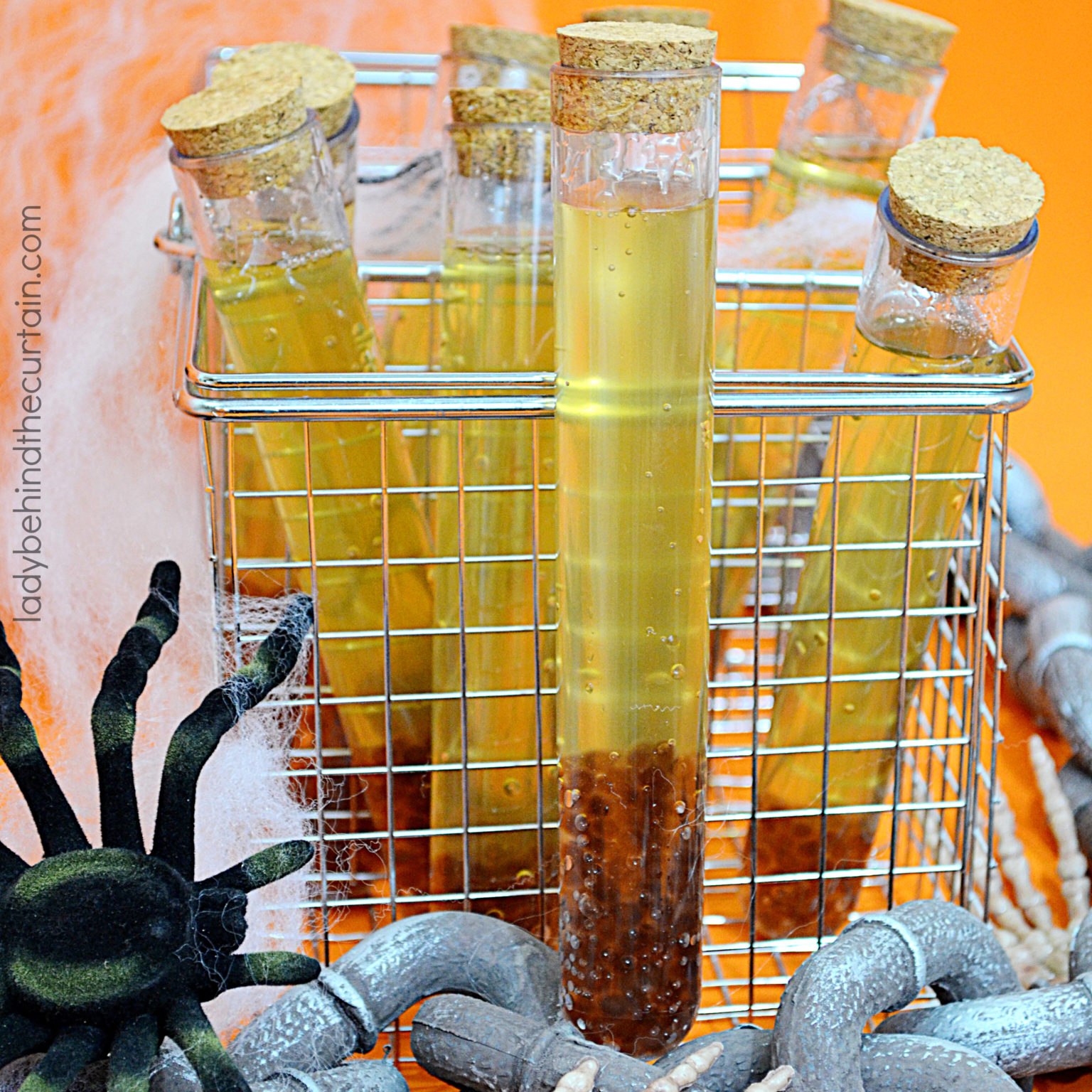 Halloween Party Witches Wart Juice Punch