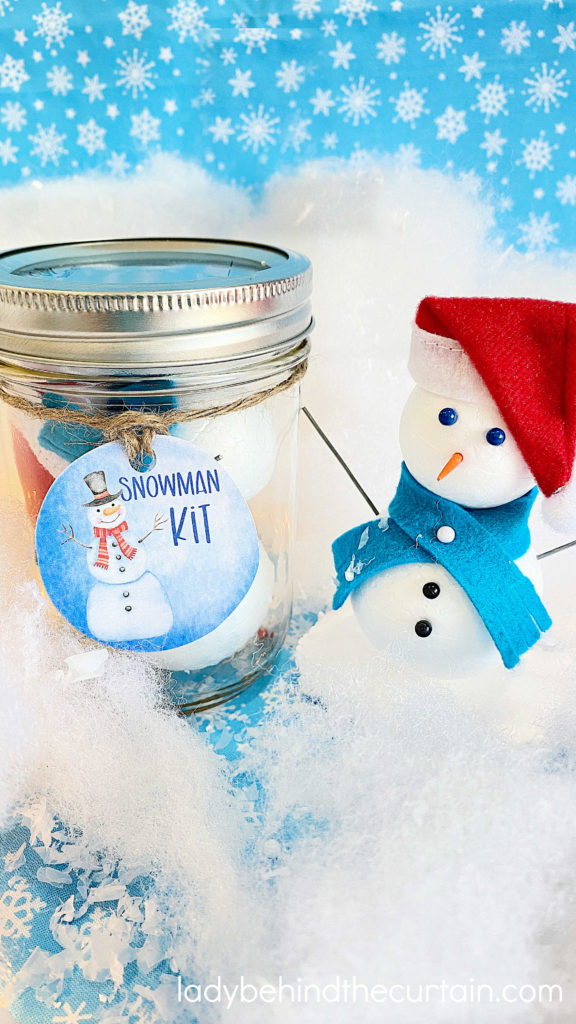 Build A Snowman Kit