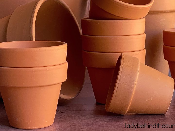 How to Bake in a Clay Flower Pot