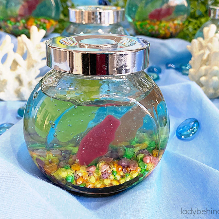 Mini Fish Tank Jello