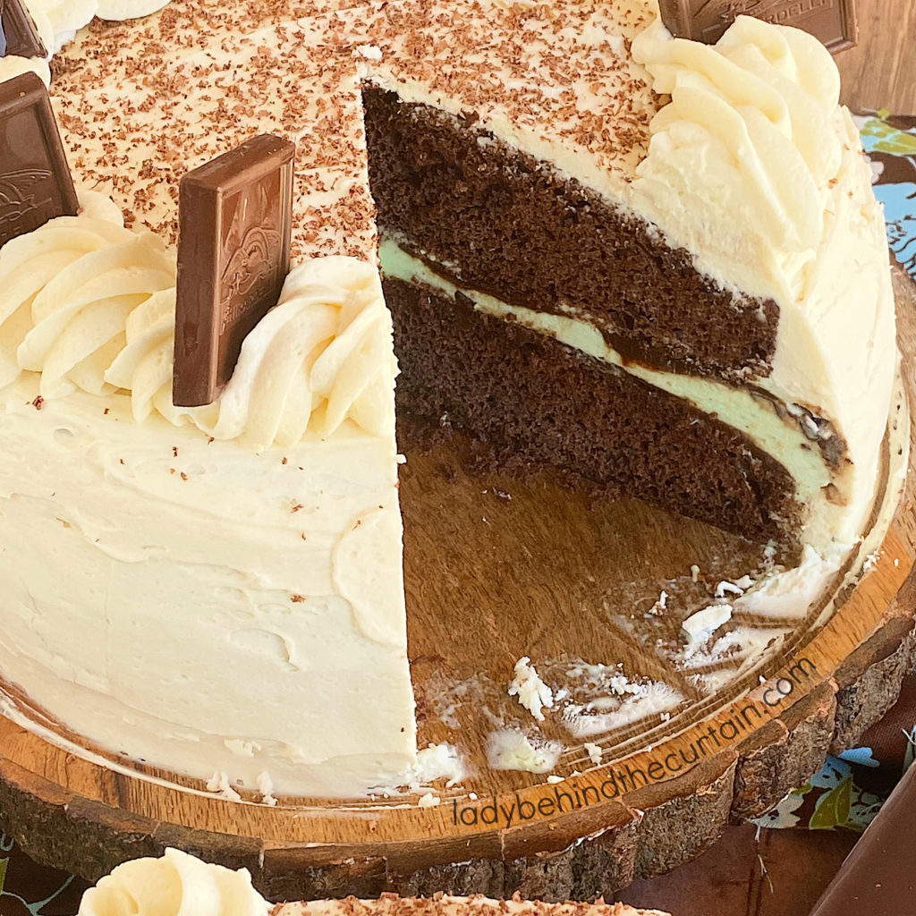 Chocolate Chip Mint Ice Cream Cake