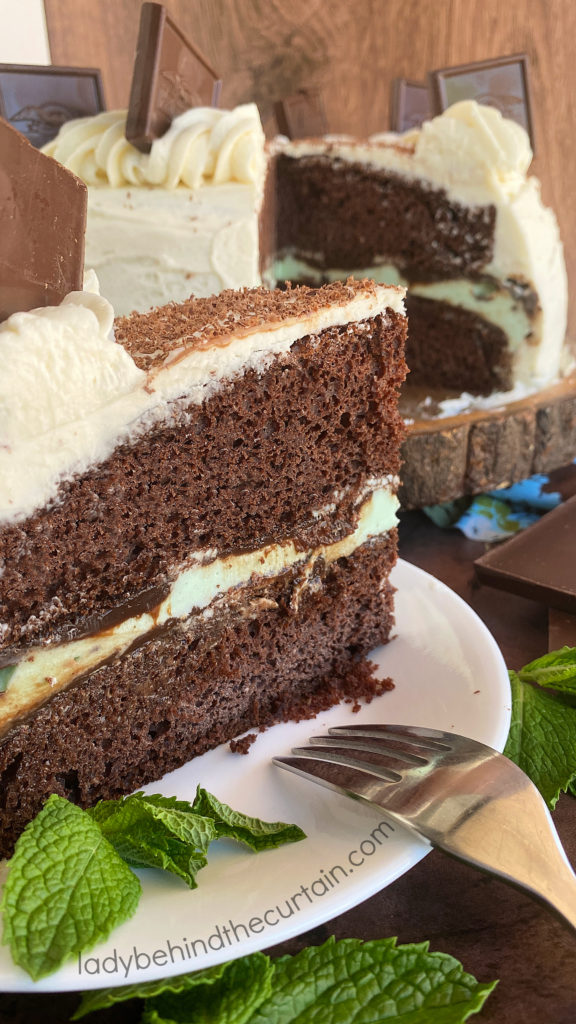 Chocolate Chip Mint Ice Cream Cake