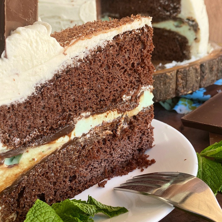 Chocolate Chip Mint Ice Cream Cake