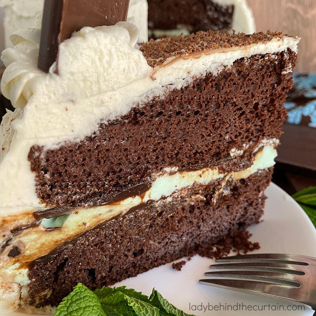 Chocolate Chip Mint Ice Cream Cake