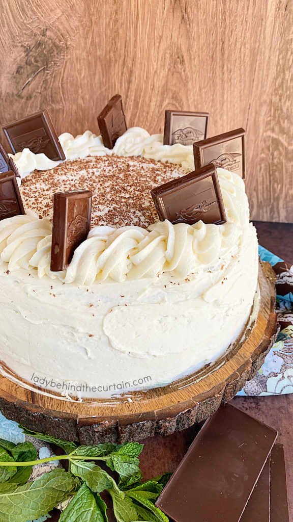 Chocolate Chip Mint Ice Cream Cake